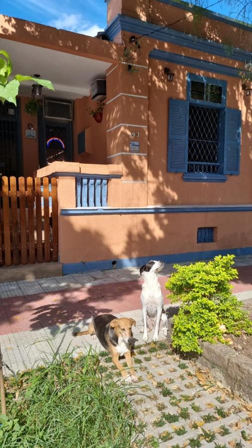 Hostel El Caminito Lgbtqiapn Plus Сантос Экстерьер фото
